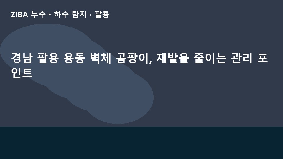 경남 팔용 용동 벽체 곰팡이, 재발을 줄이는 관리 포인트