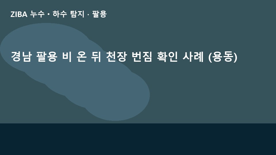 경남 팔용 비 온 뒤 천장 번짐 확인 사례 (용동)